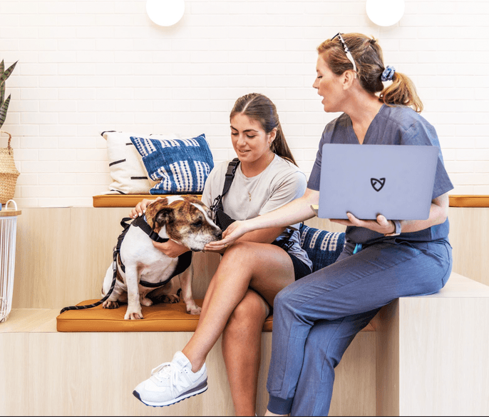 Vet with pet parent in clinic lobby