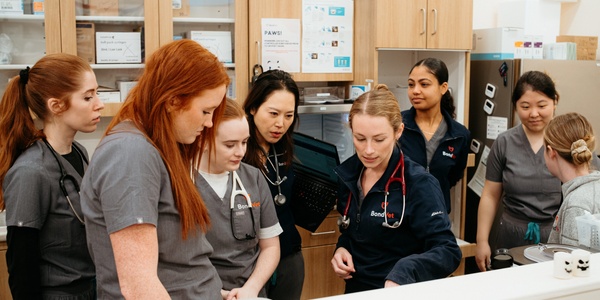 Bond Vet Expands MADE New Graduate Program