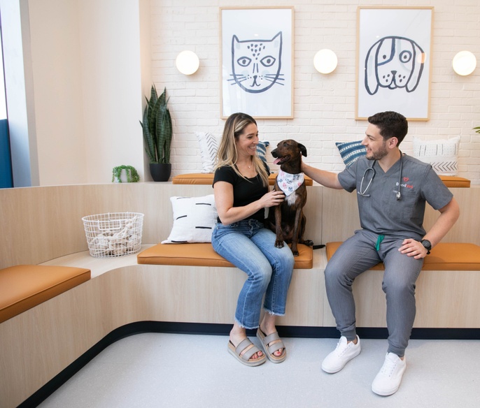 Vet with pet in lobby