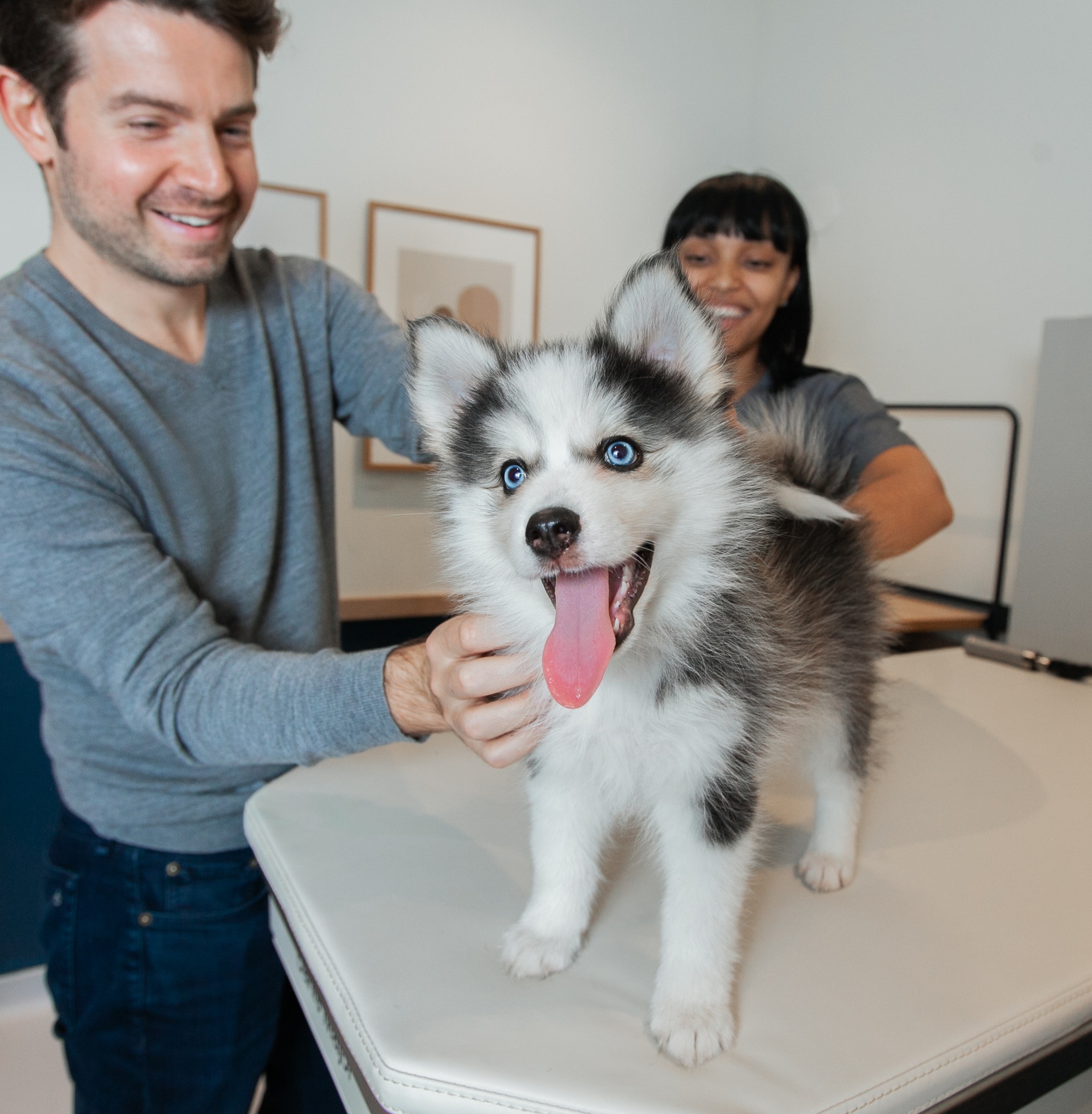 A happy puppy at the vet