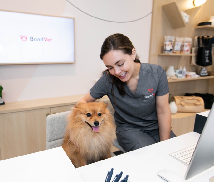Dog and care coordinator at front desk at Bond Vet