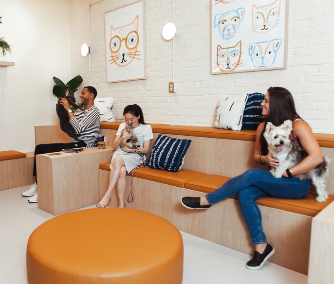 Bond Vet Cobble Hill - Clients