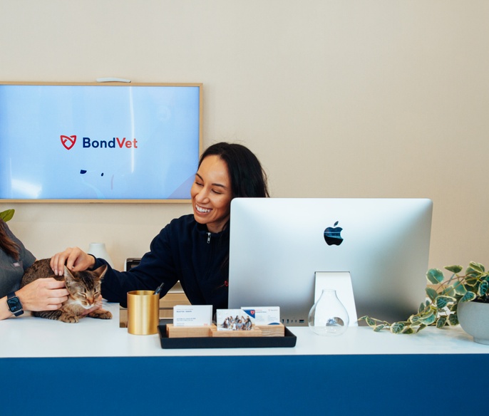 Vet with pet in lobby