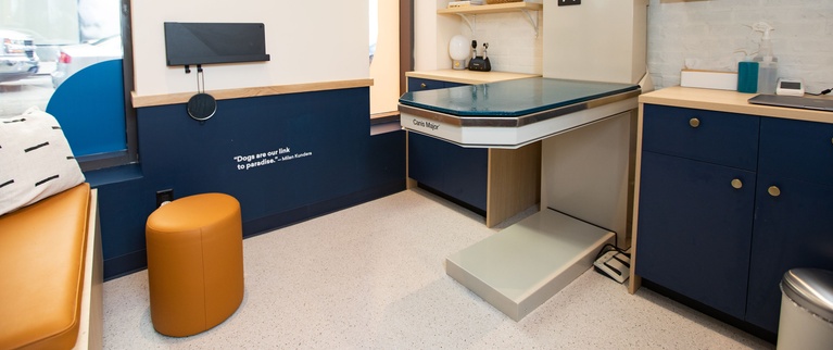 A modern dental office with clean design, featuring a navy blue and wood cabinet, an orange stool, and contemporary furnishings.