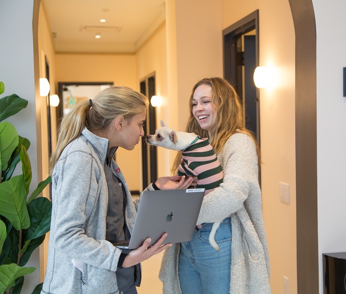 Dog sniffing a veterinarian in the lobby of Bond Vet - Wicker Park