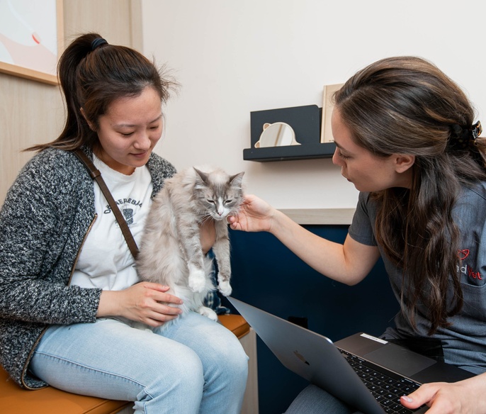 Cat parent in the exam room with Bond Vet clinic staff member