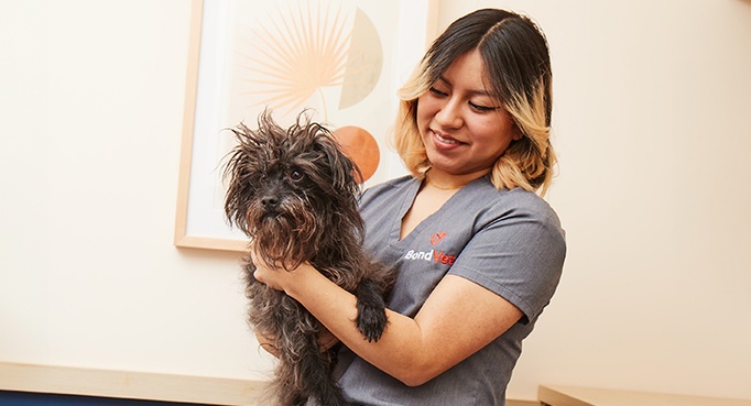 Veterinary Technicians