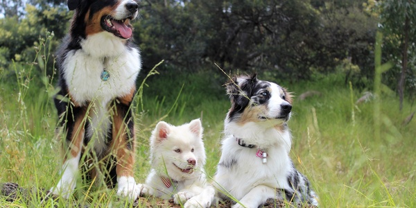 Ticks Don't Take a Season Off