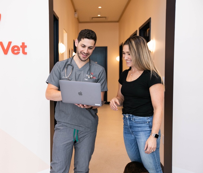 Veterinarian going over a pets diagnostic results with a customer at Bond Vet - Alexandria