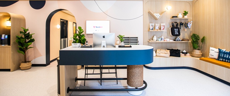 Modern reception area with a minimalist design, featuring a curved desk, wooden accents, and decorative plants.