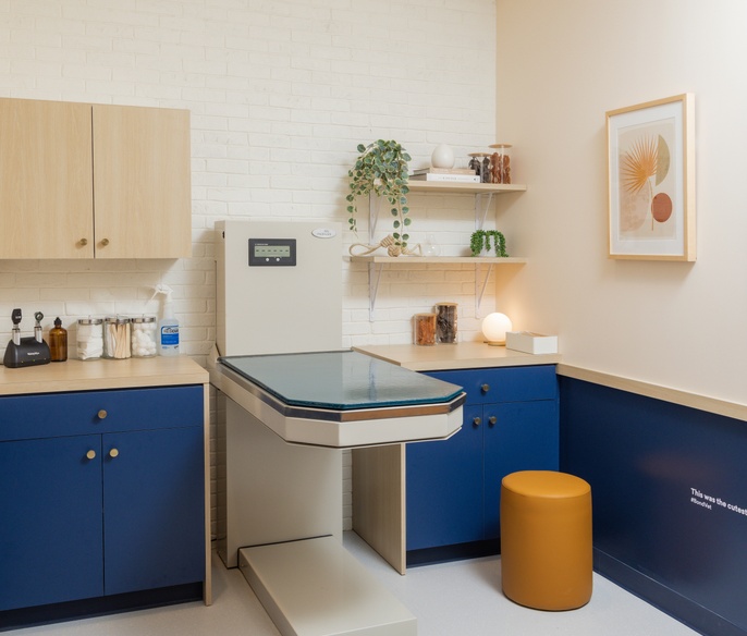 Exam room at Bond Vet - Ditmas Park