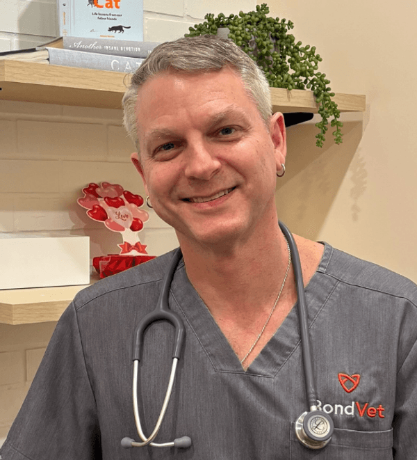 Sustainable Careers in Veterinary Medicine: Growing with Purpose at Bond Vet